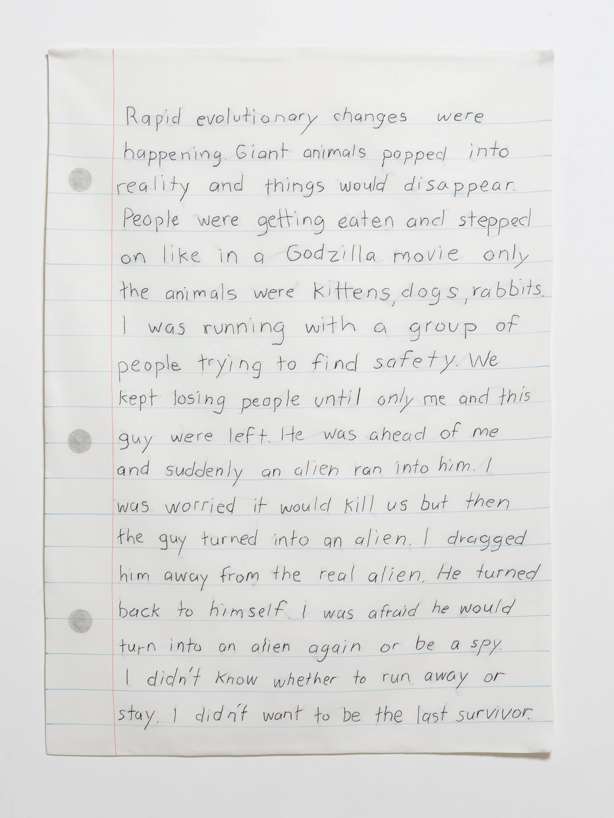 Apocalypse Dream/ Megafauna 2019, 30” x 40”, Marker, polished cotton, muslin, embroidery thread