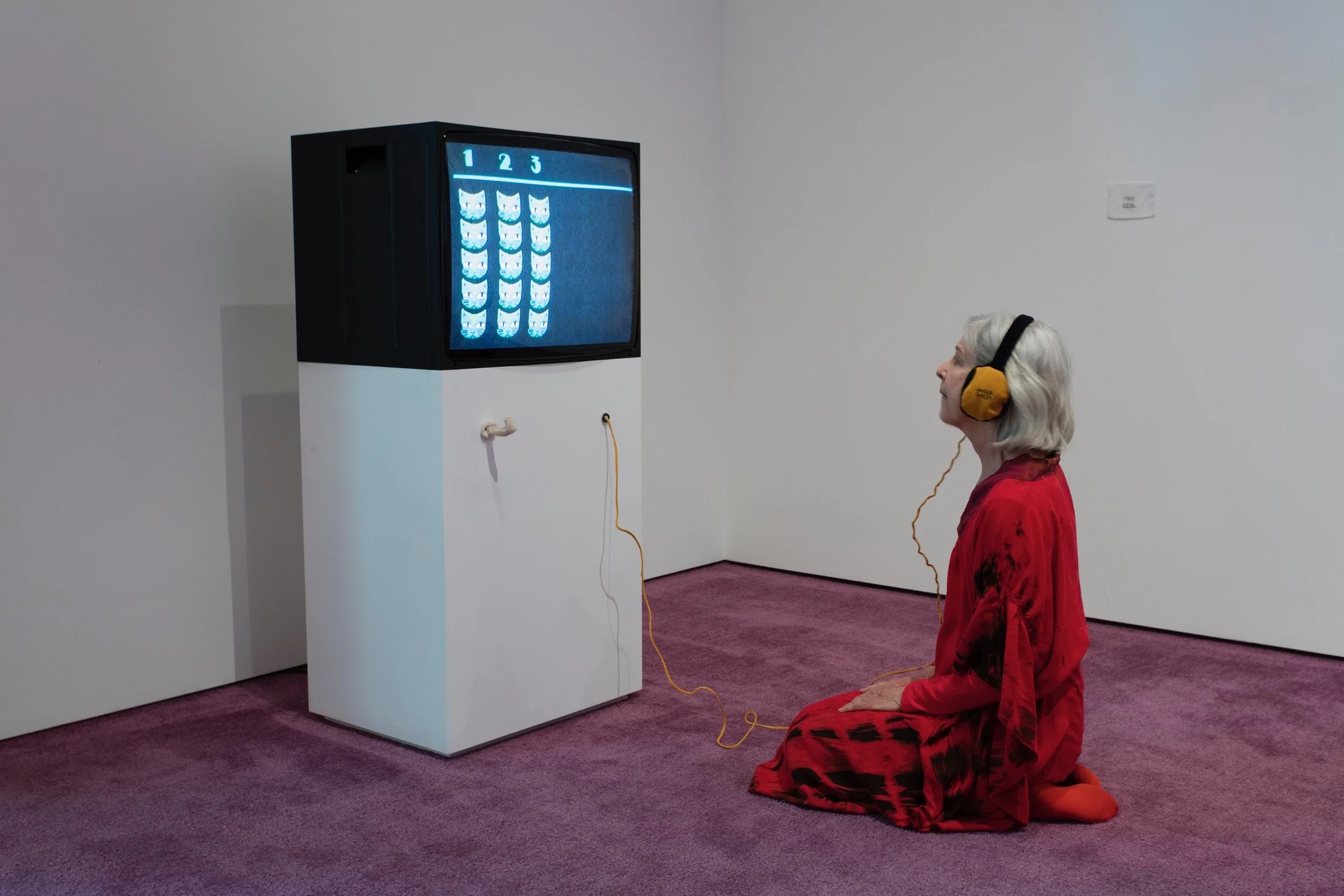 IMG_8265.jpg