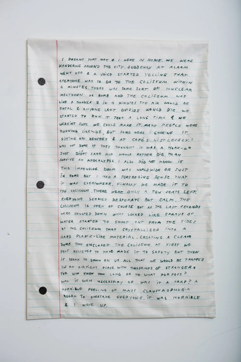 Sno-Ball Dream, 2012 38″ x 24″, acrylic yarn and marker on polished cotton