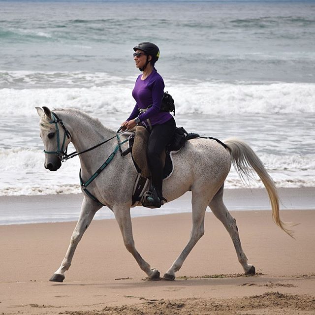 You know you've truly found a match when your horse makes you look like a better rider. I haven't taken an Equitation lesson in years (I should really get on that) and he's no dressage pony, but we manage to make a damn pretty picture, me and my grum