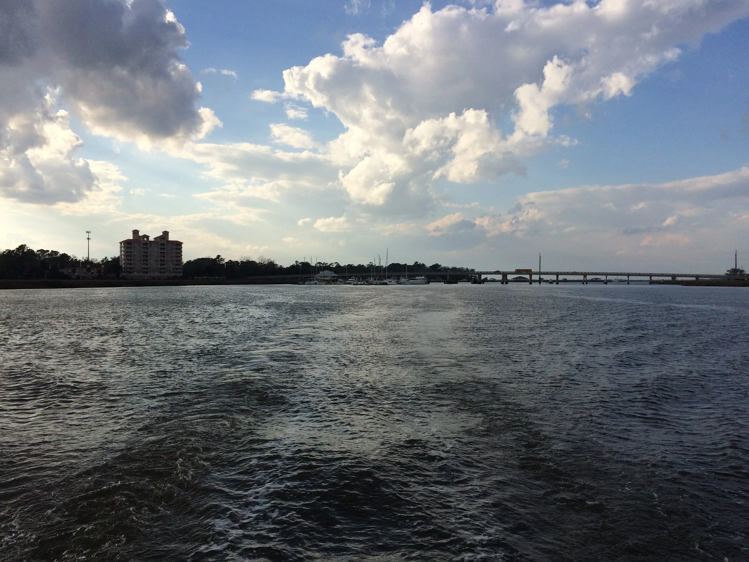 Saying Goodbye to Savannah