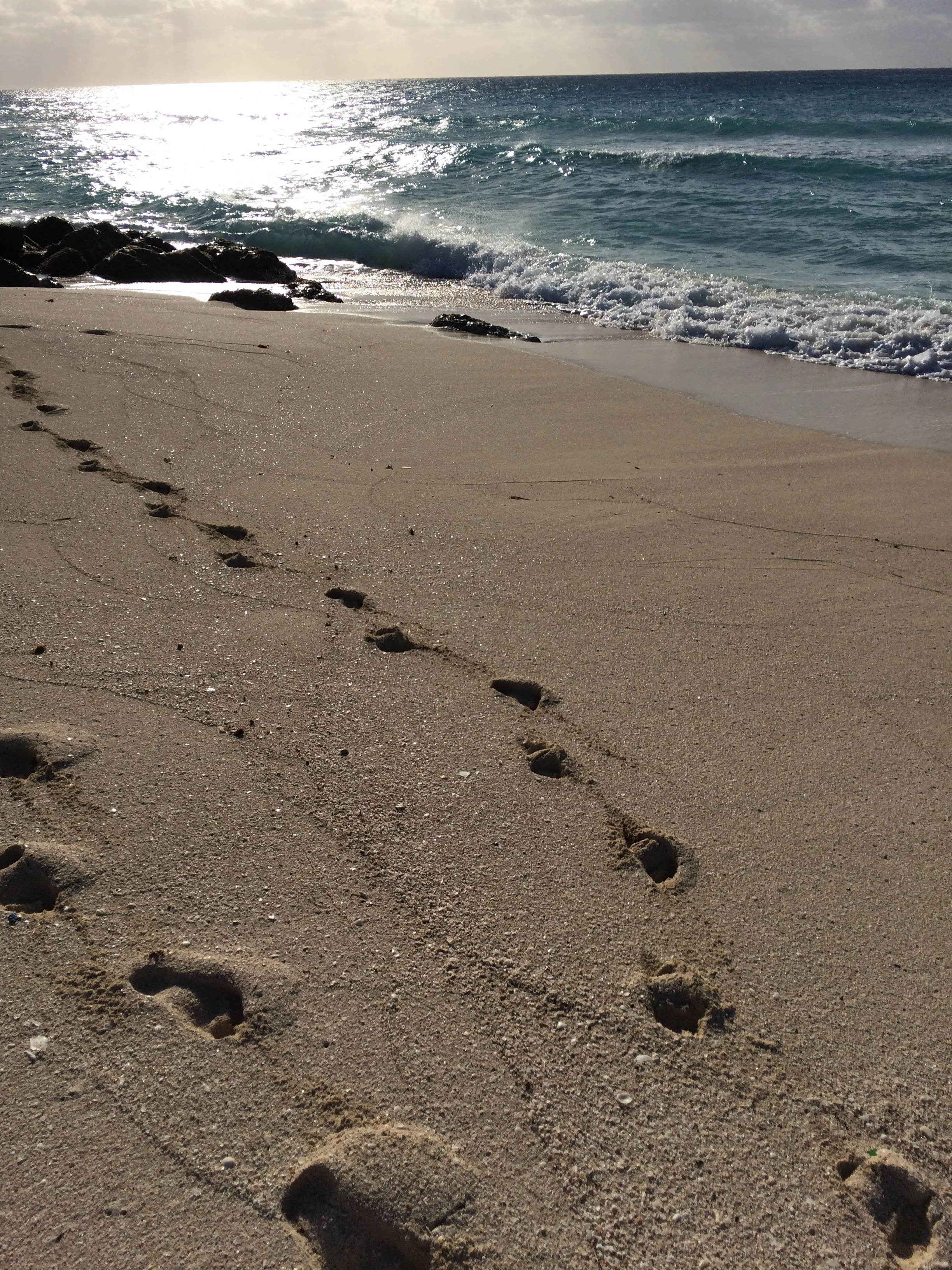 Crossing the Gulf Stream