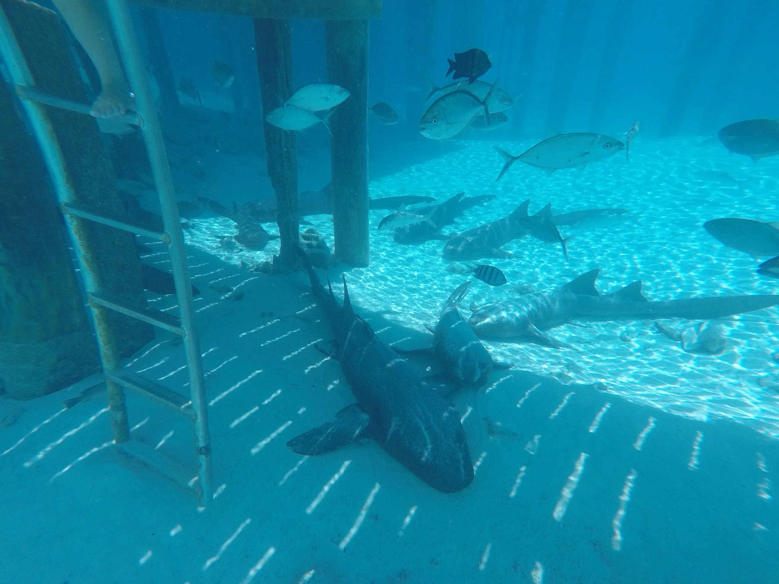 GOPR0279.JPG
