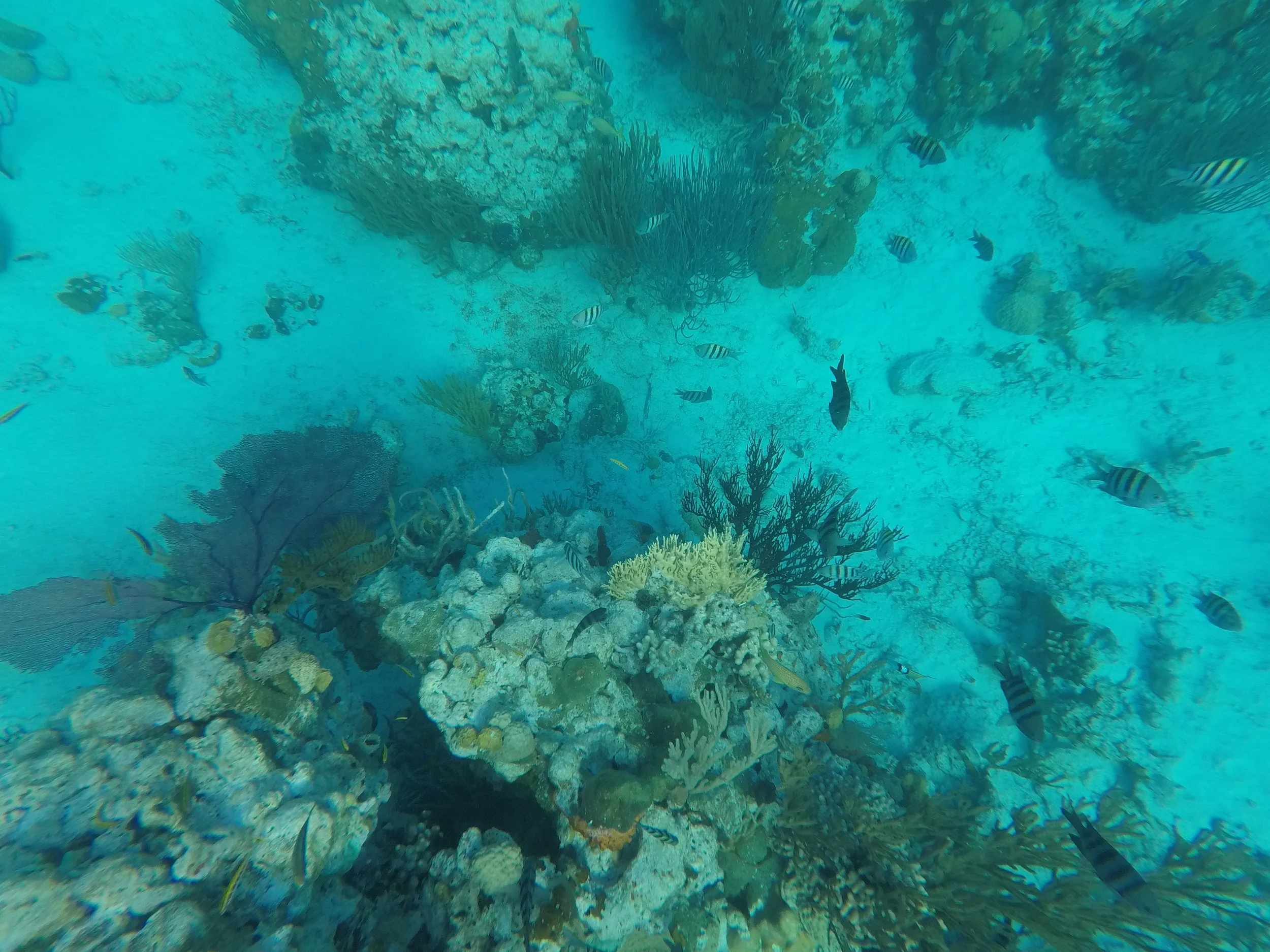 Fish, Friends, and Fits On The Brink