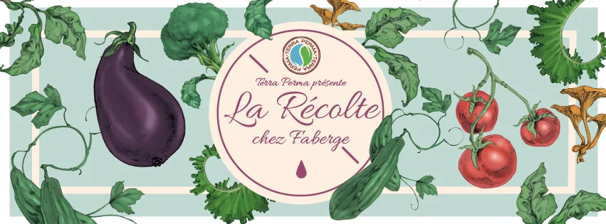 PXP_CouvertureFacebook_FR02.jpg
