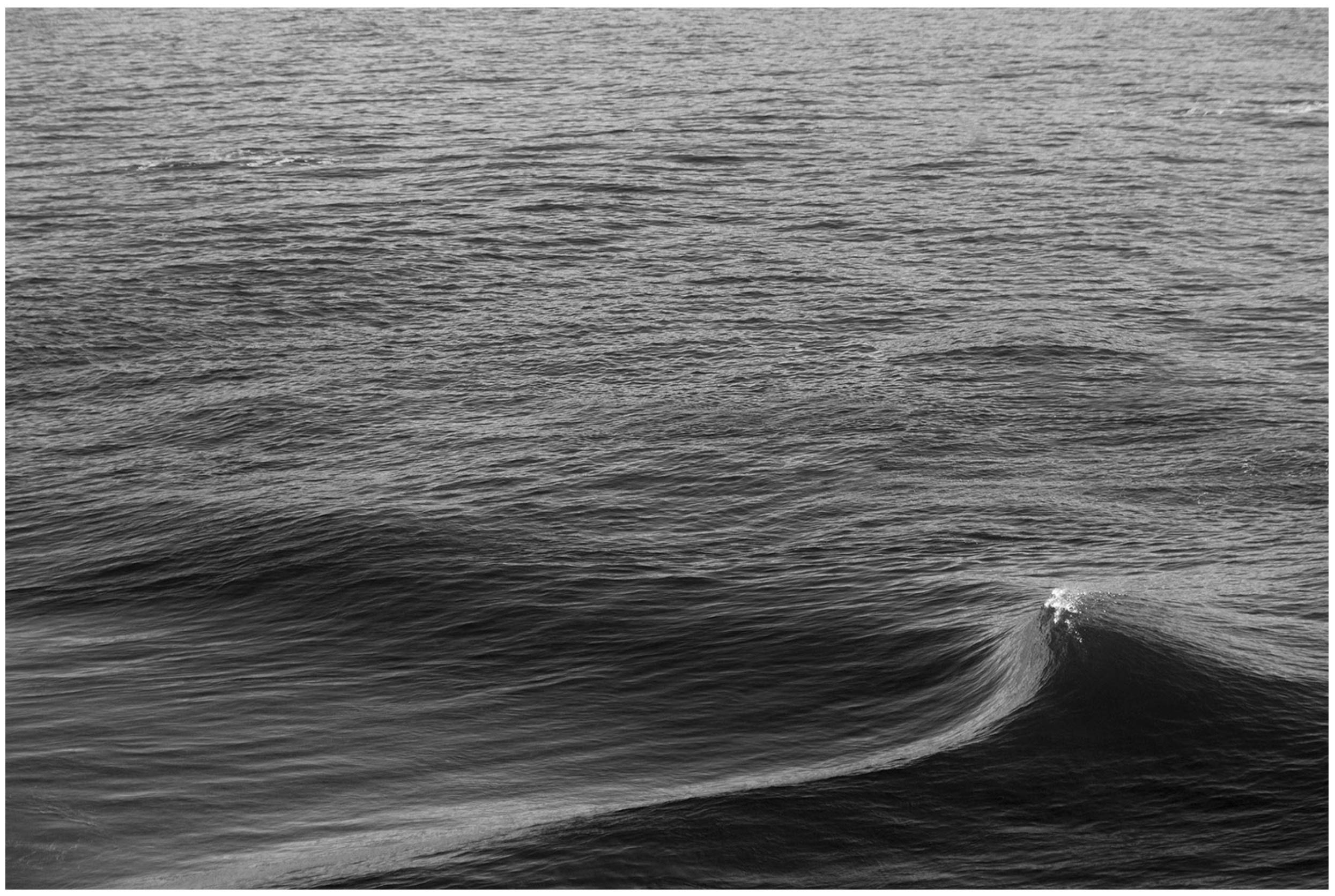 rodd-owen-ocean-surf-photography-for-sale-129.jpg