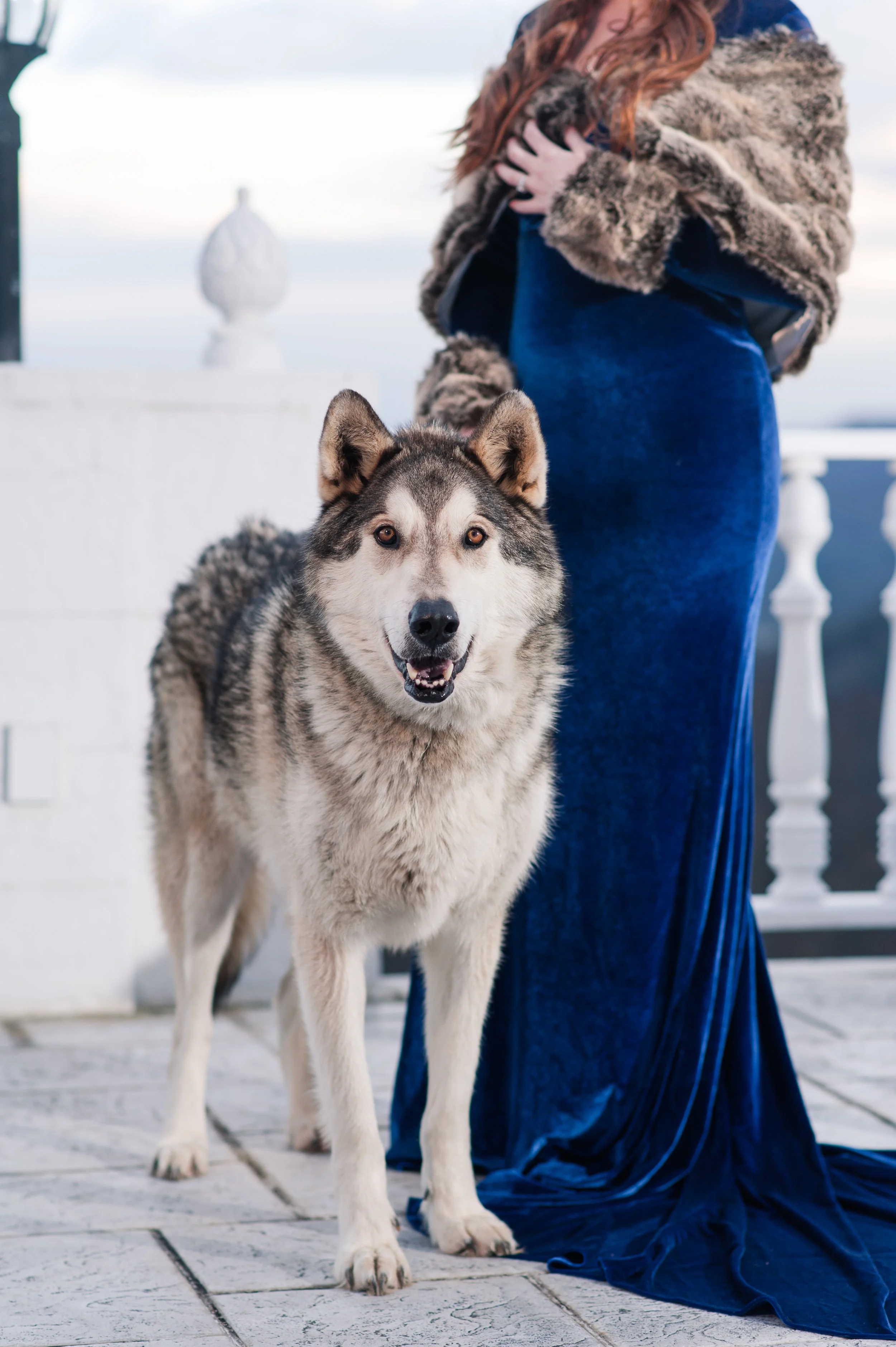 Katherine Elena Photography