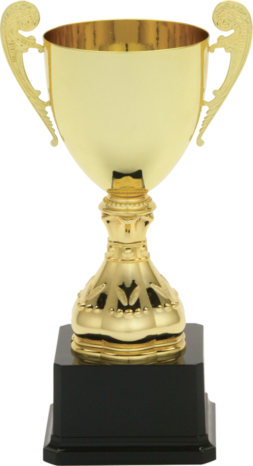 cup trophy case