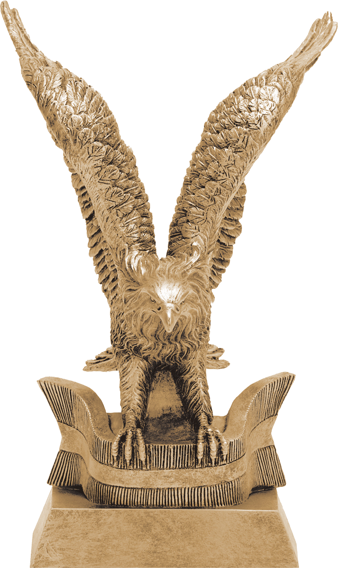 50455-G.png