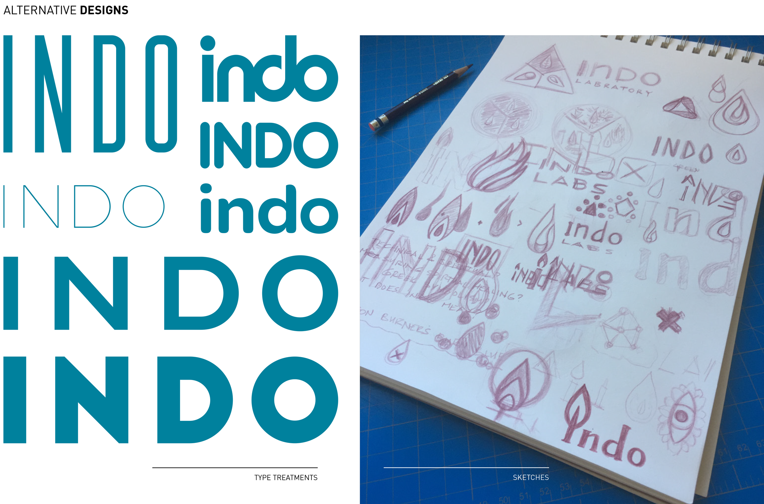 Indo_Labs_Branding_01-13.png
