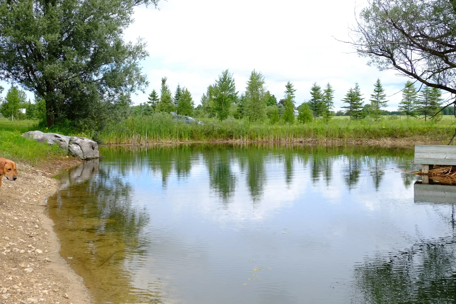 On Down's Downs 102.JPG