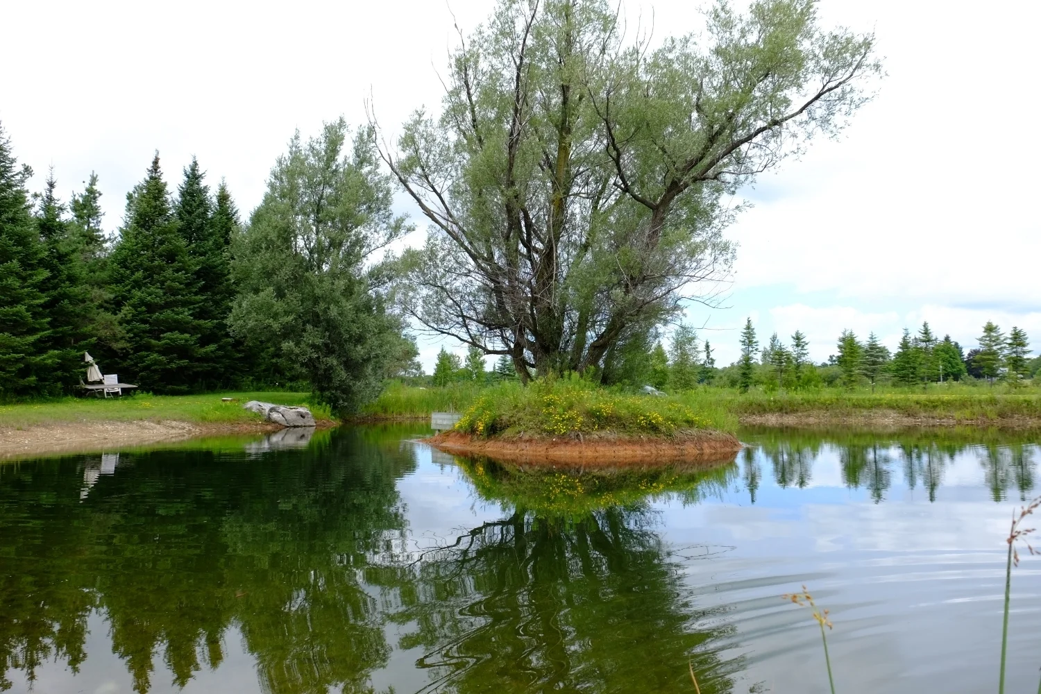 On Down's Downs 104.JPG