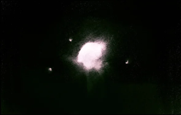 MojoWang_Moth_10.jpg