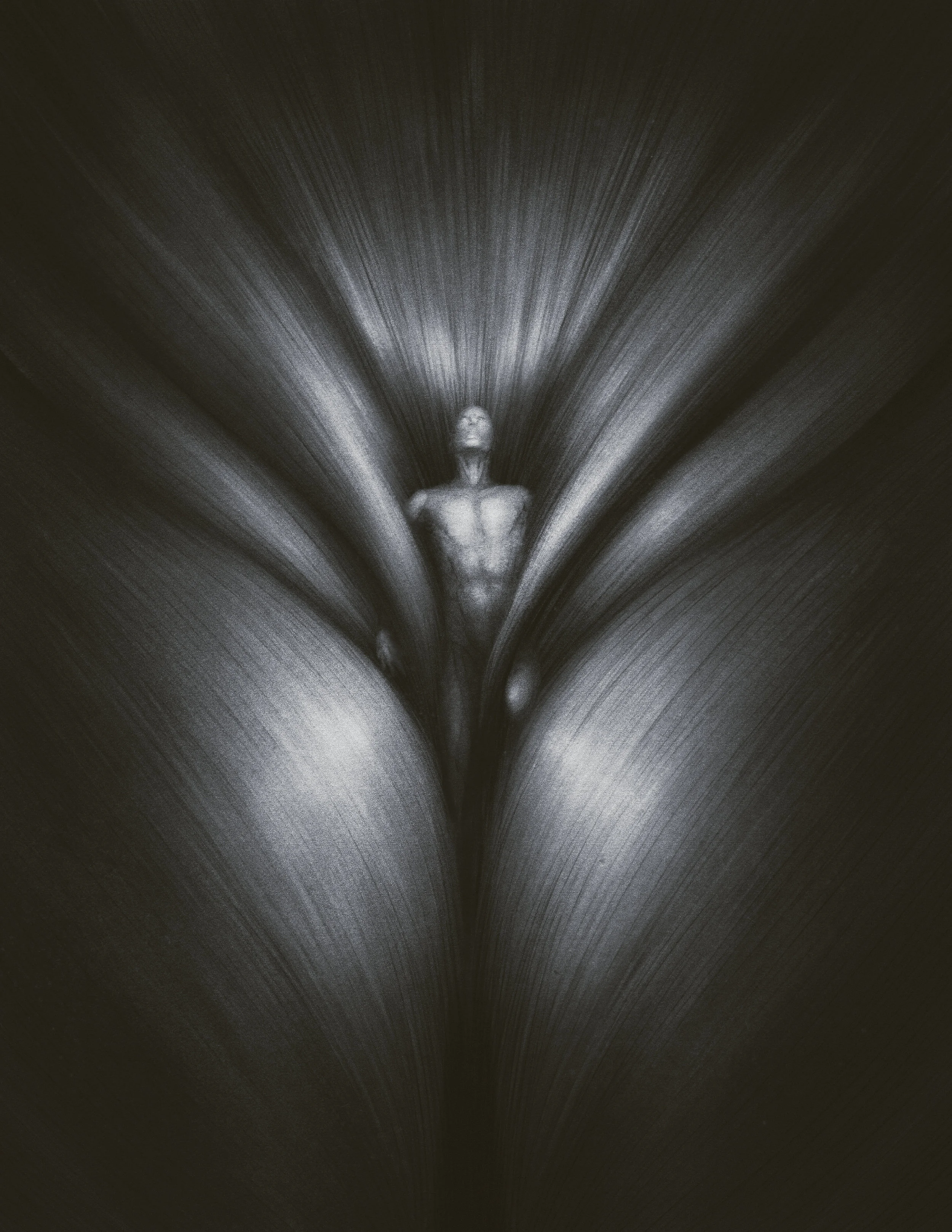 Lament, Self-portrait No.2