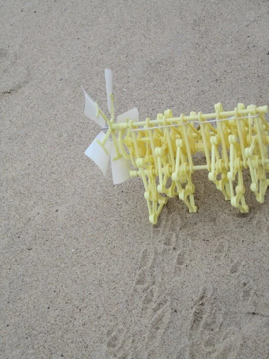 Dreams, coming true.