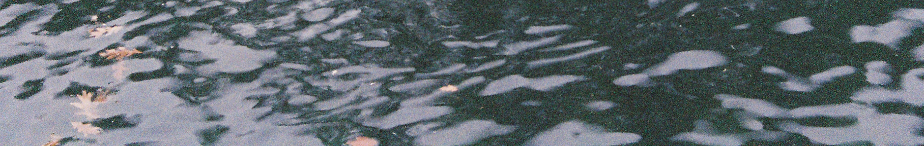 leafwater.png