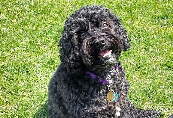 Bailey was always all smiles.