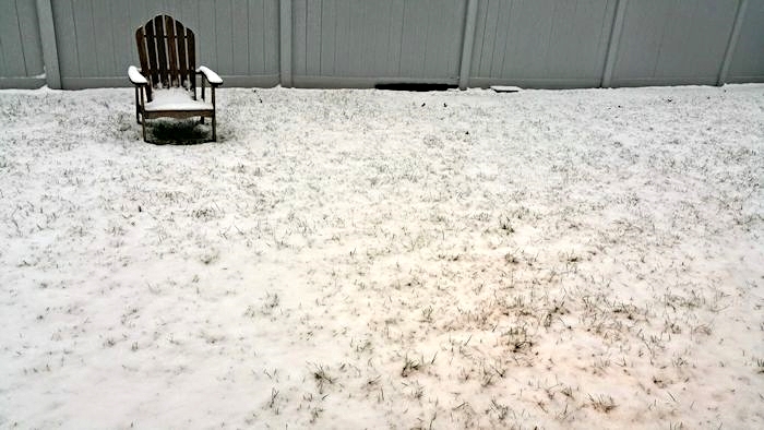 There should be paw prints here, but there’s not.