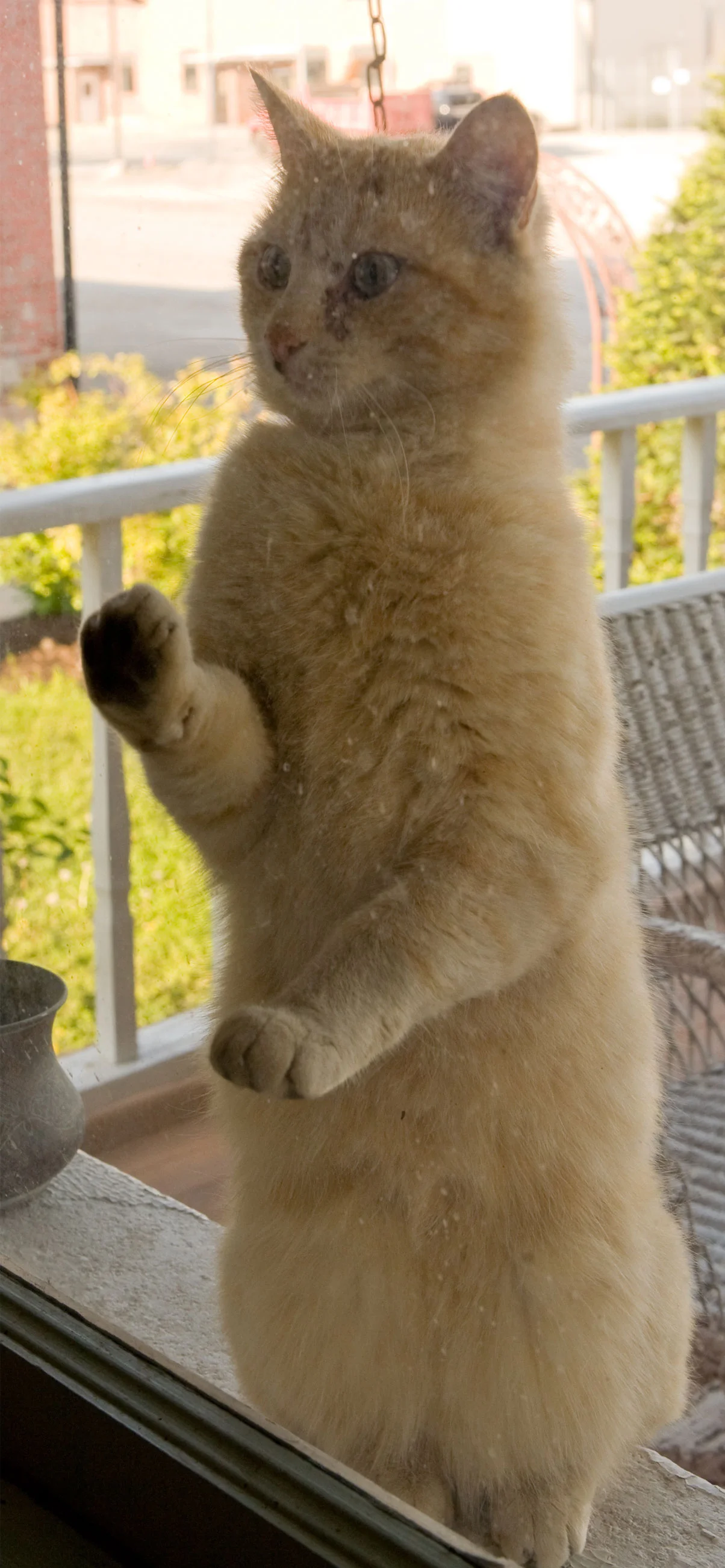 GrfldWindow.jpg