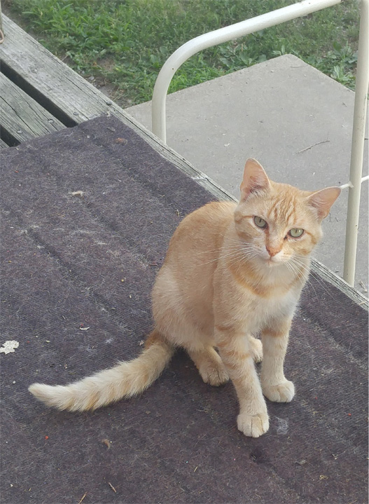  Goldie, he is completely feral. 