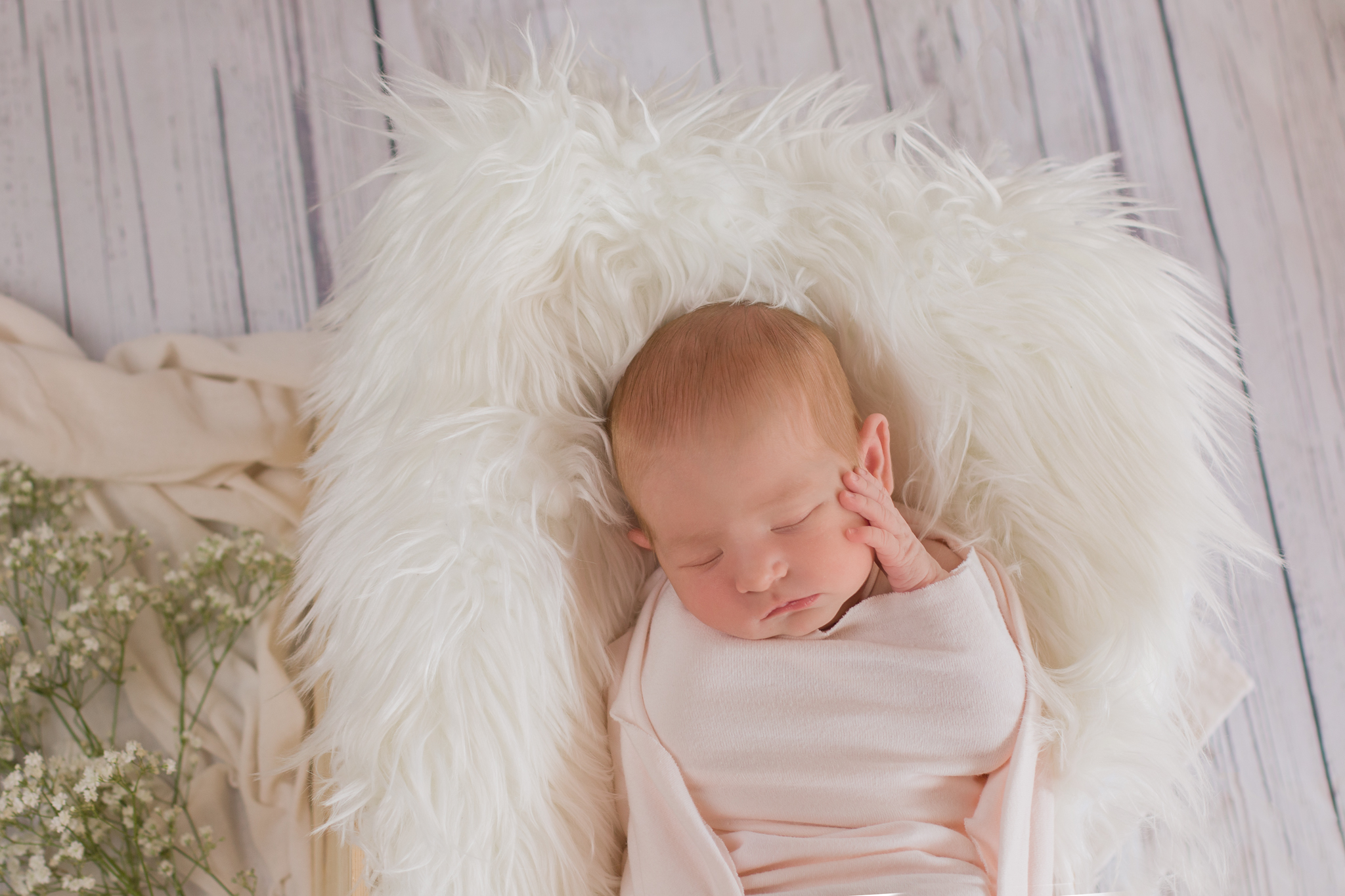 newborn girl with baby breath flowers