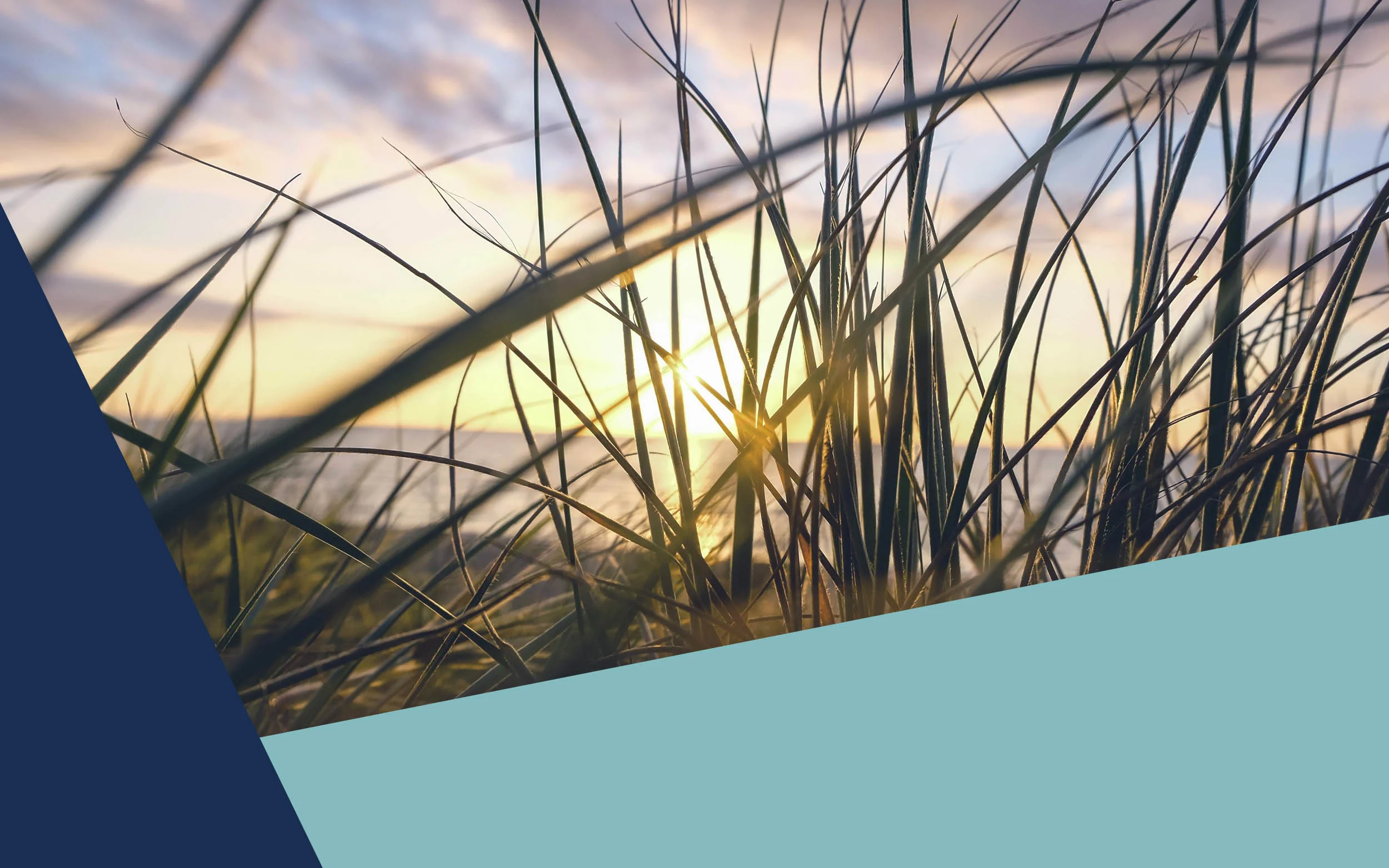 Gold Coast Wills and Lawyers - Brisbane Elder Law Firm.jpg