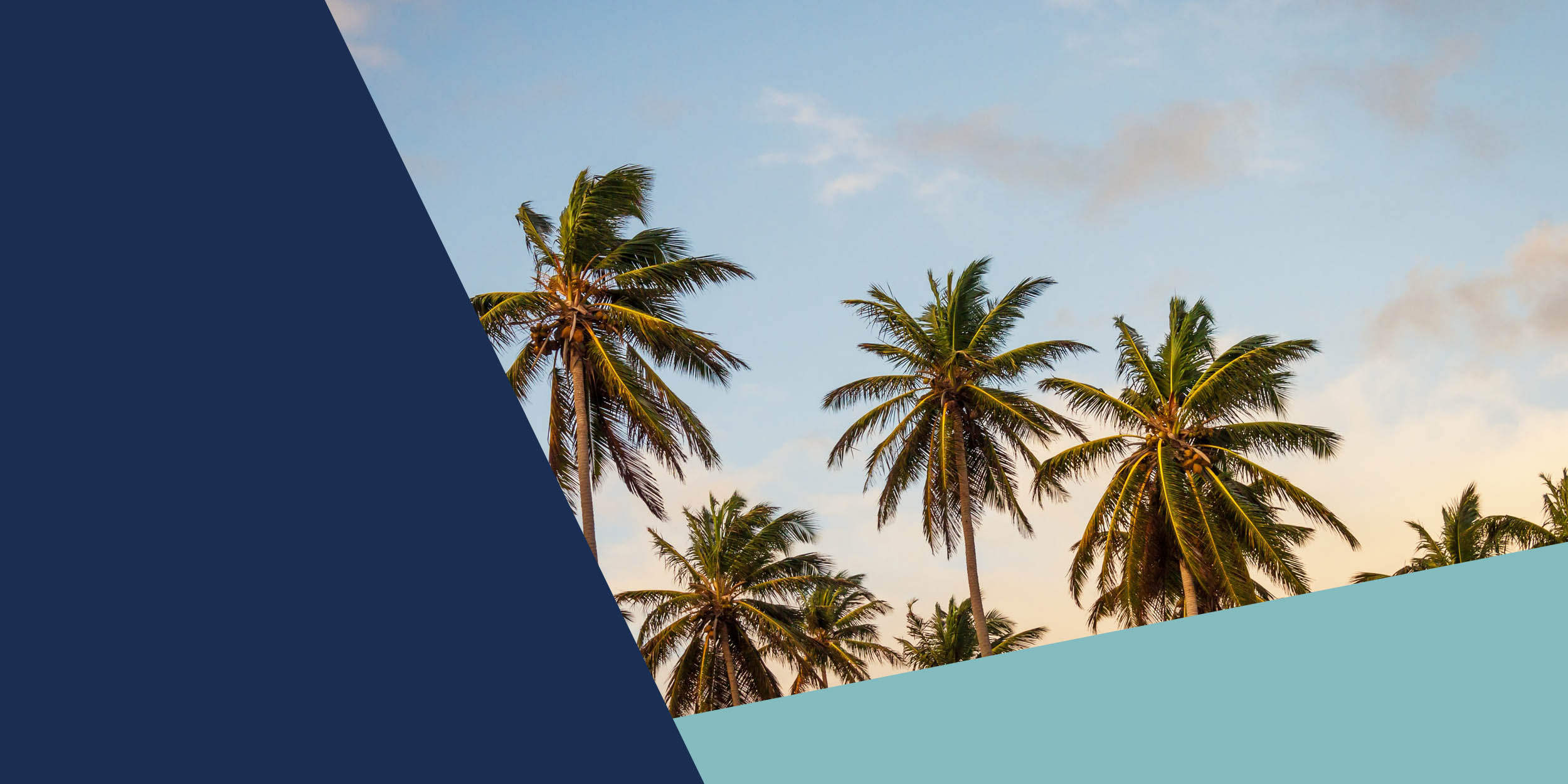 Conveyancing Searches – QCAT Tree Register: