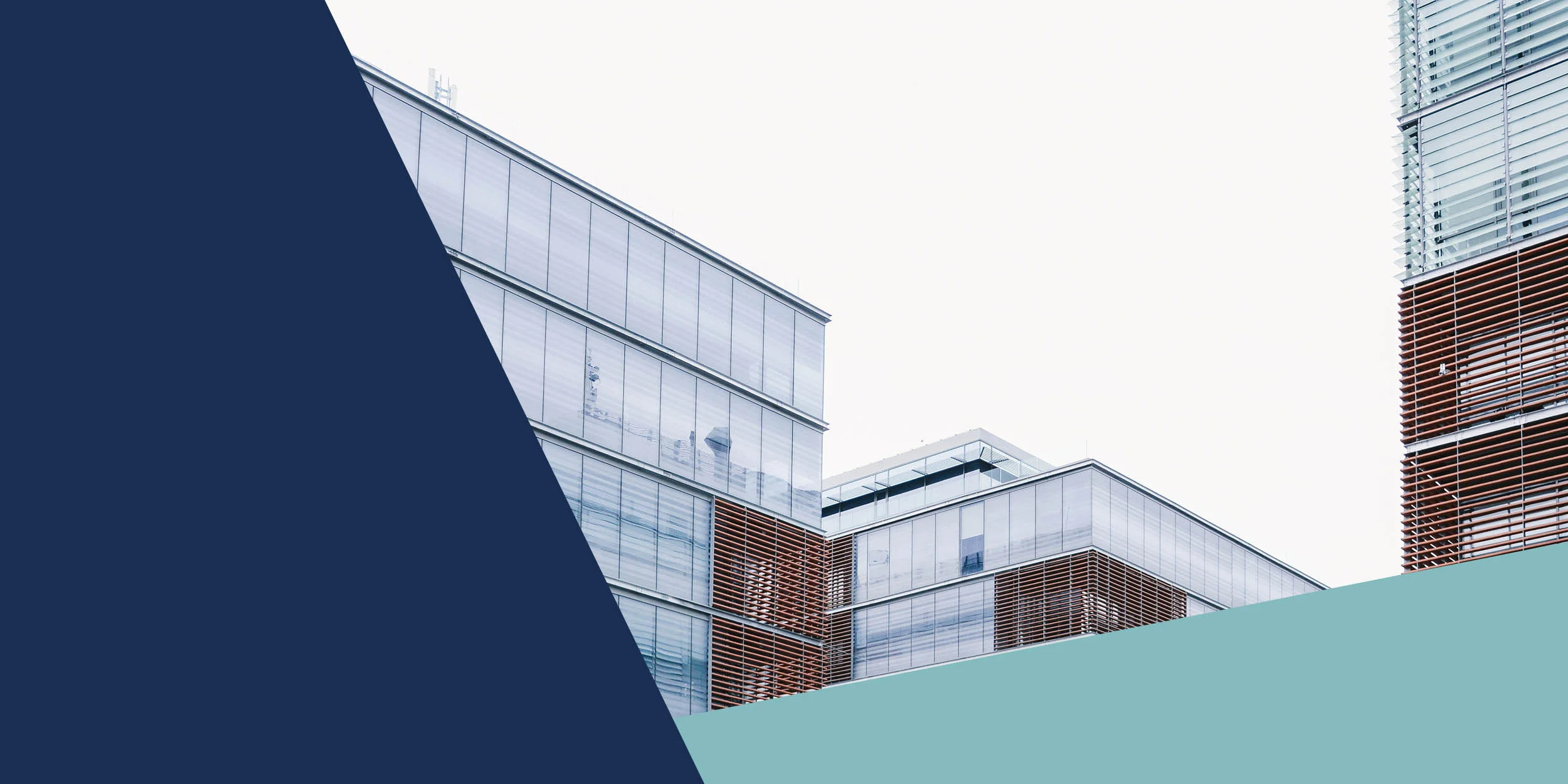 Bullying in the Workplace: