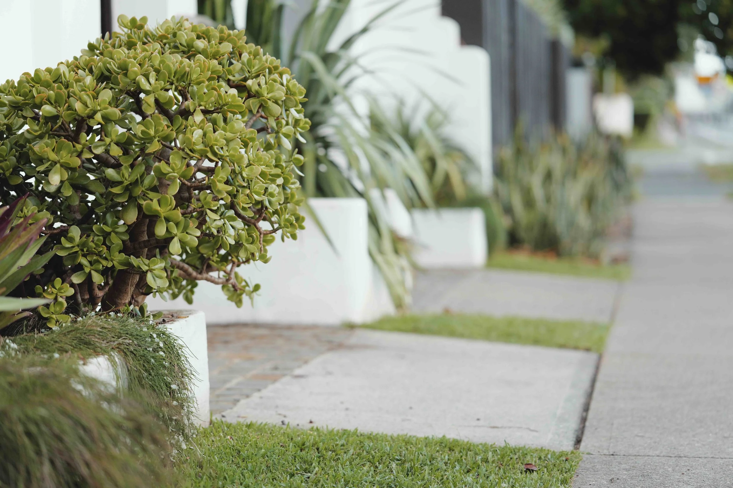 Foreign Buyers Banned from Purchasing Property in Australia:
