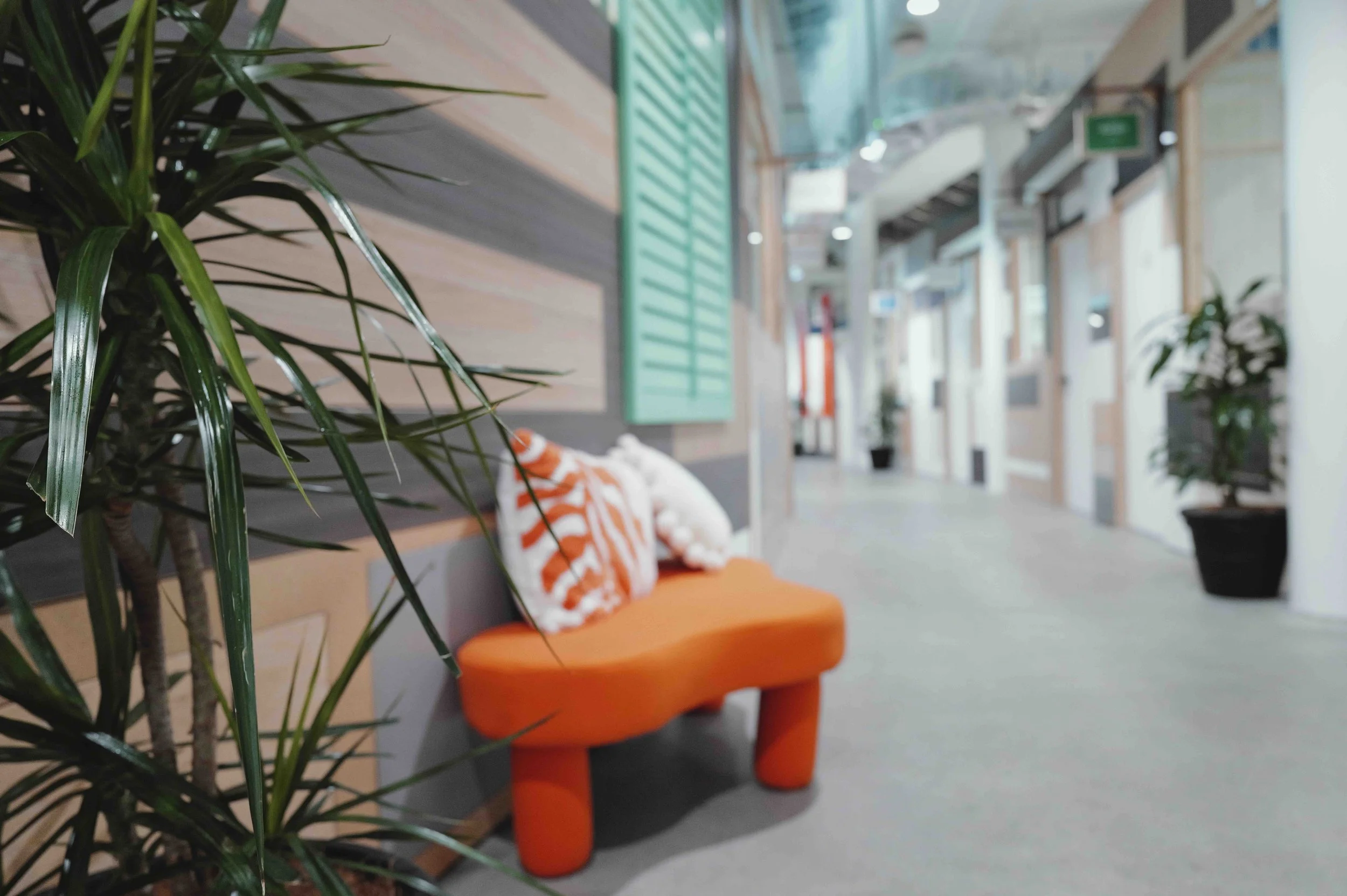 Dylan and Inns Conveyancing Lawyers Gold Coast.jpeg