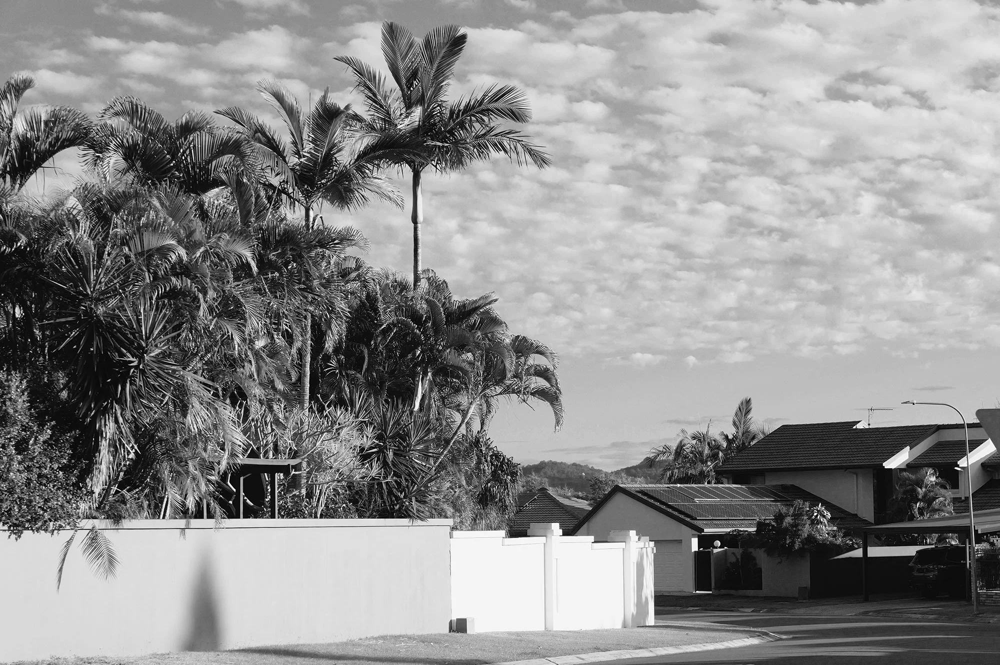 Canal Front Housing in Mermaid Waters.jpg
