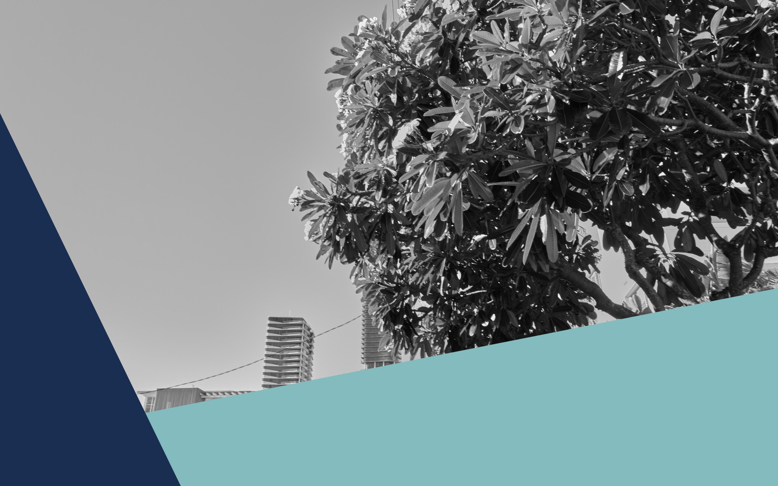 Contract of Sale Special Conditions - Conveyancing Gold Coast.jpg