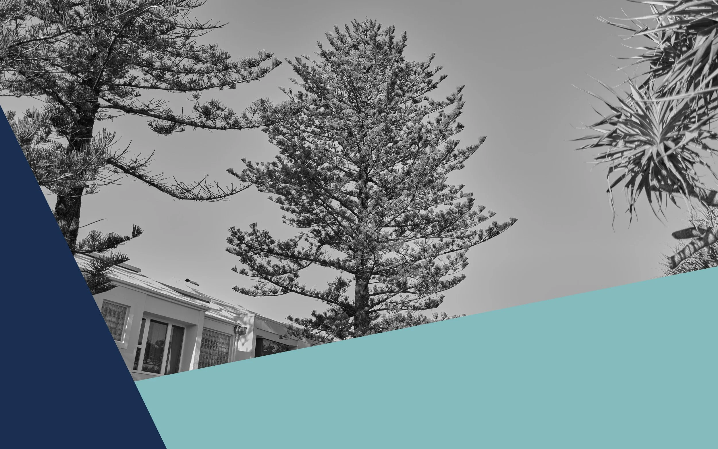 PEXA Settlements - Conveyancing Gold Coast Lawyer.jpg