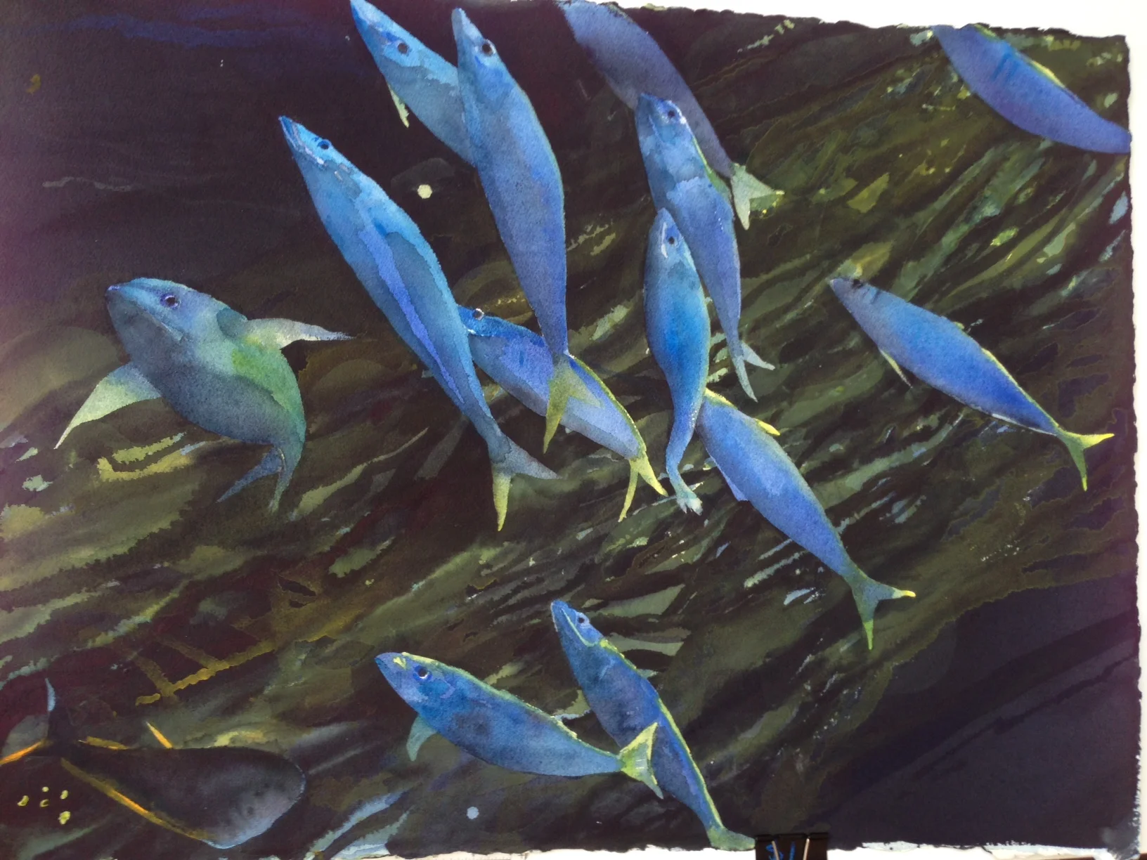 Down in the Davey Dark 