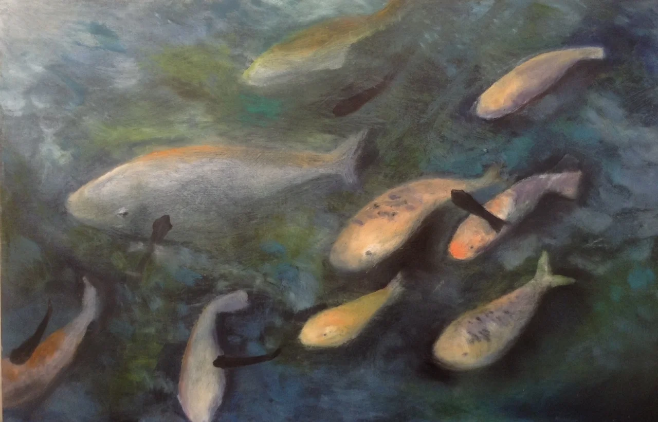 Bali Goldfish