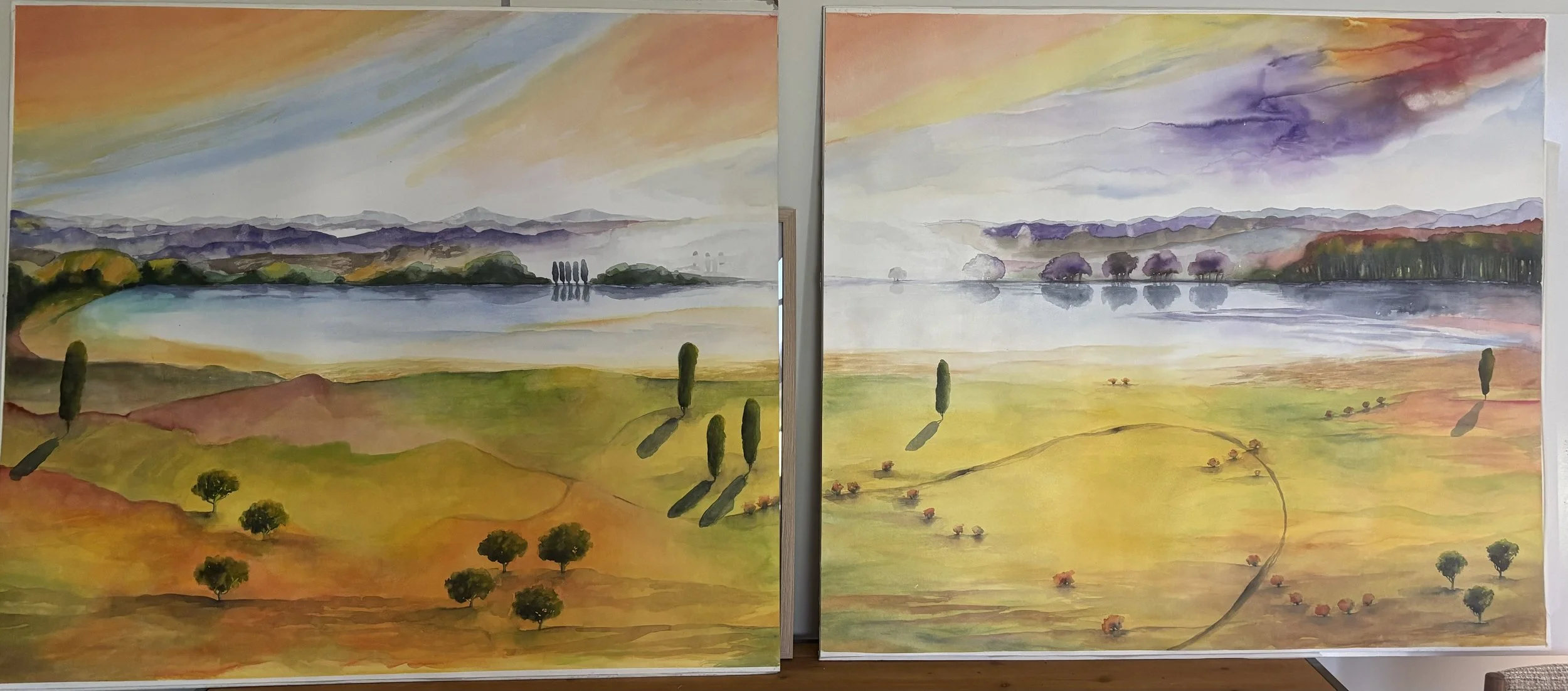  Very large watercolour diptich 1mx90cms each.  