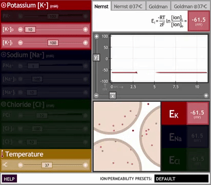 A live voltage trace shows the real-time effects of changing equation parameters