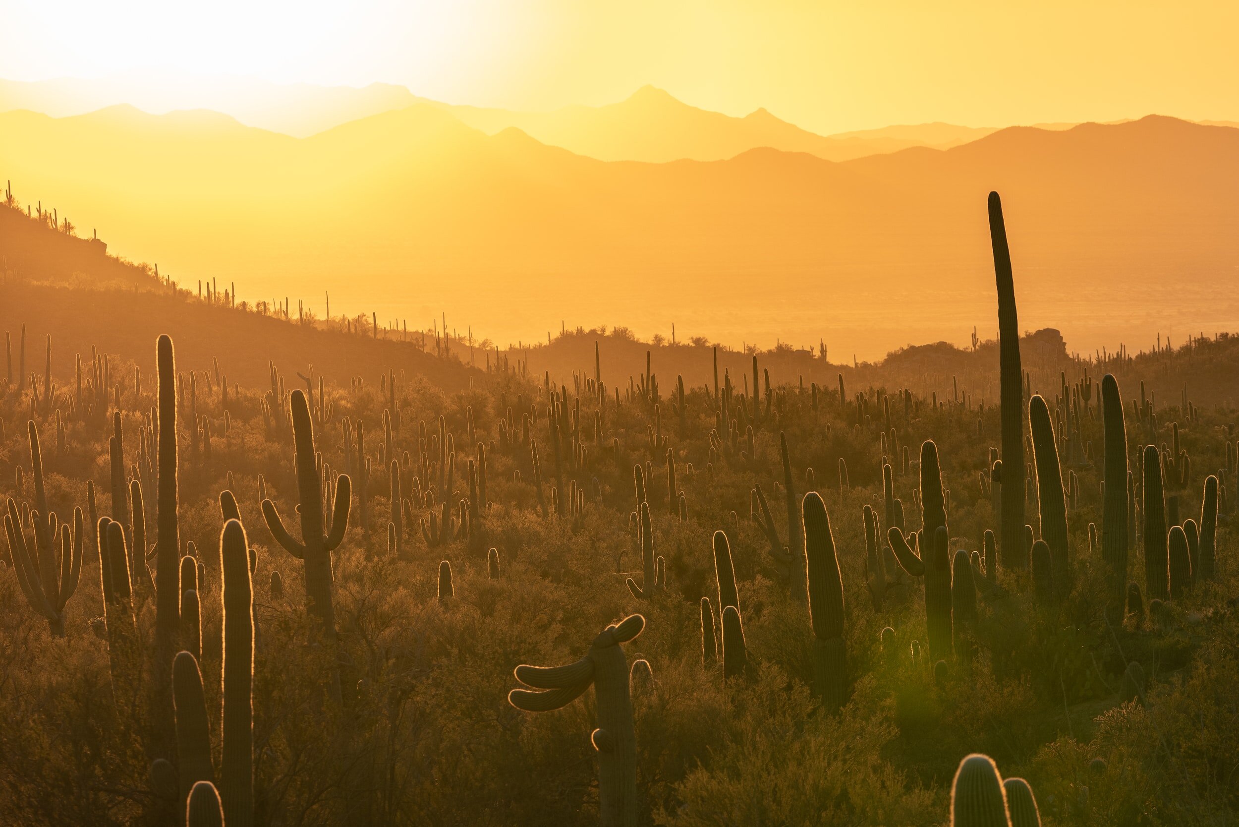 2021 AZPS Meeting Registration is now open!