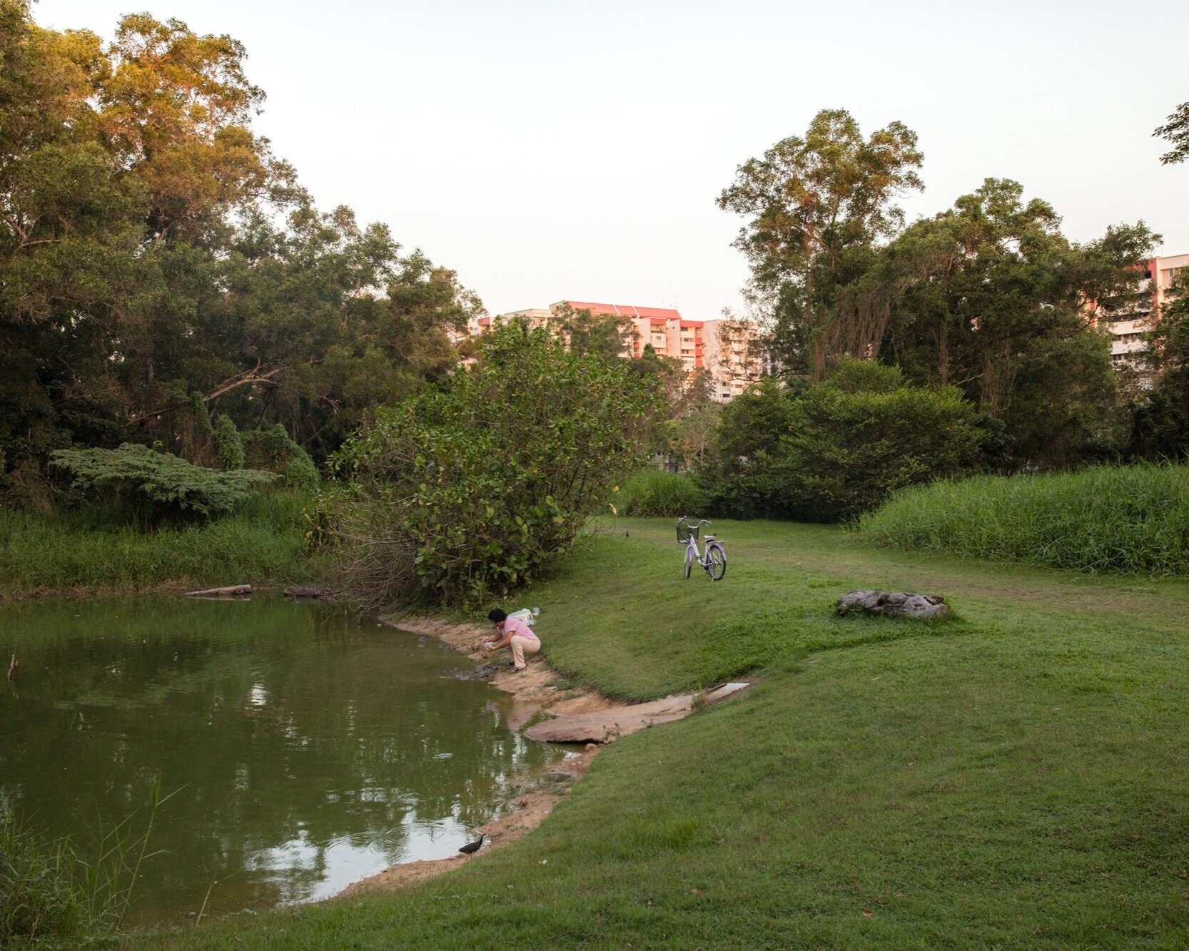  Tampines Eco Green Park 