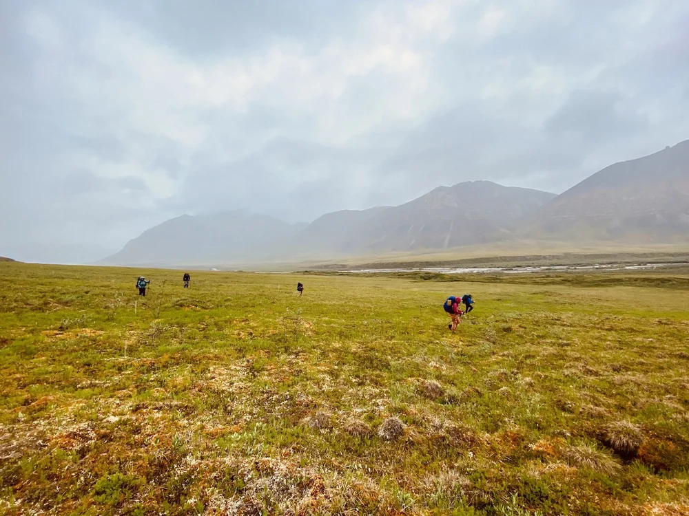 Gates-of-the-arctic-hike-2.JPG