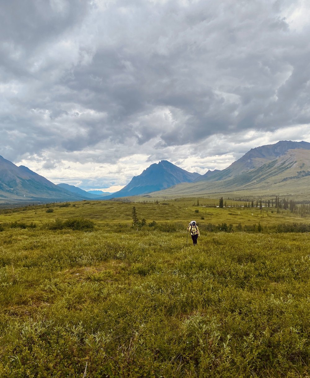 Gates-of-the-arctic-hike.JPG