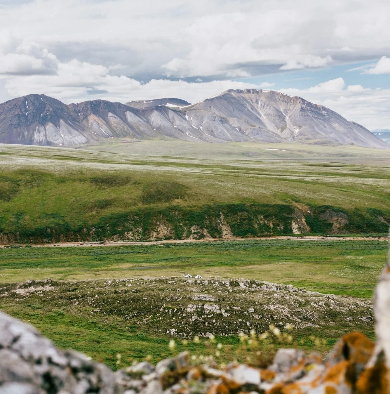 arcticrefuge-wck-05 copy 2.jpg