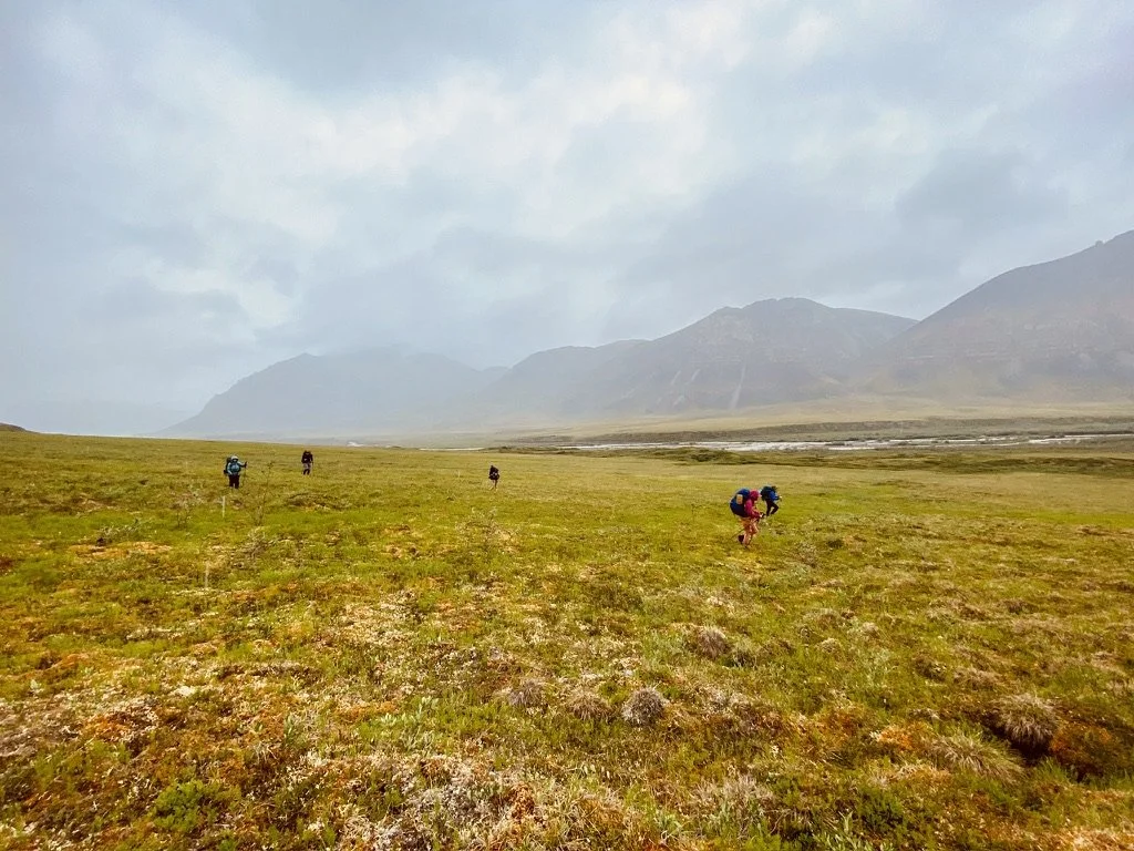 Five backpackers walking a broad valley near Anaktuvuk Pass.