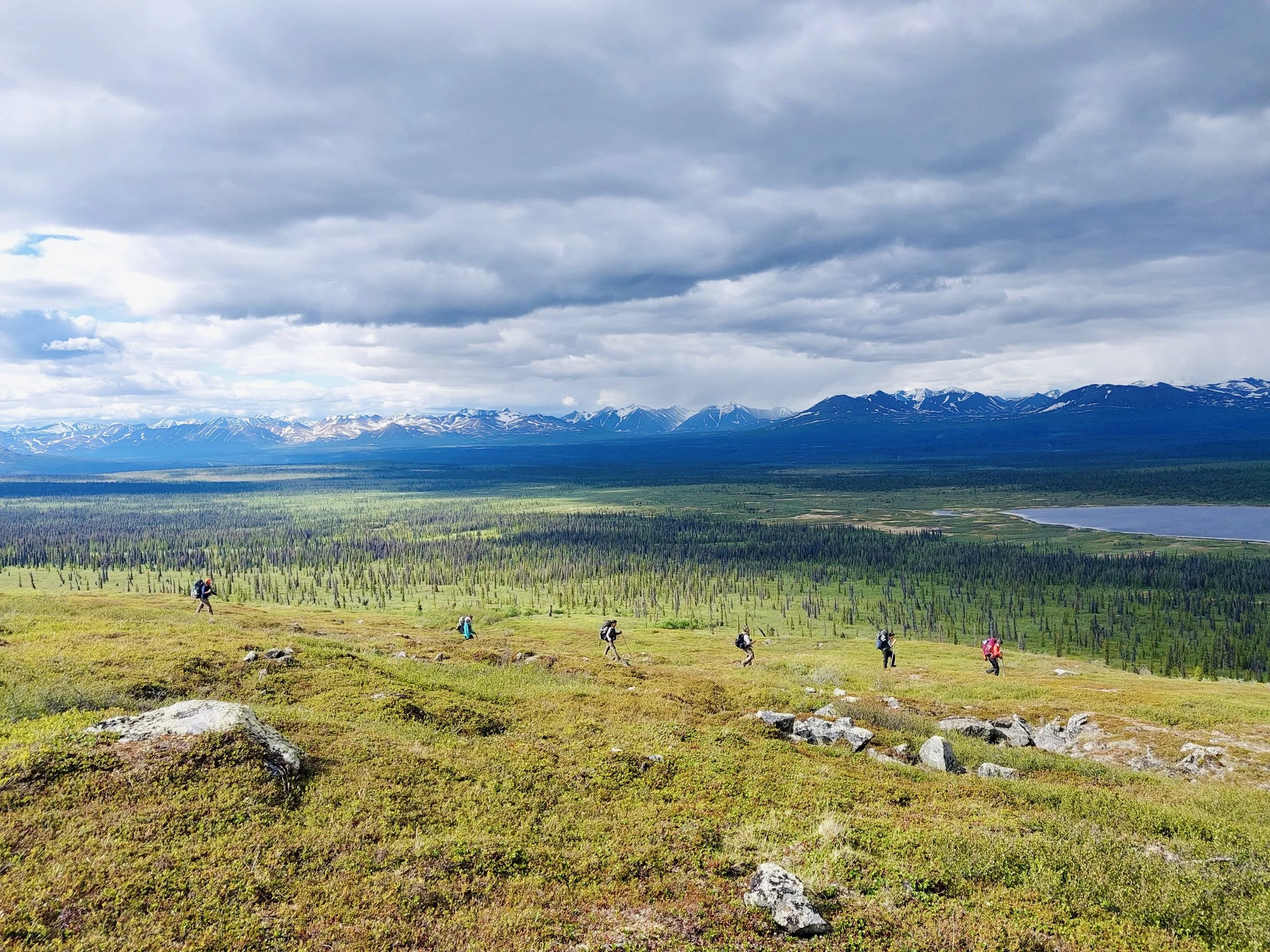 backpackers hiking through lush alaskan mountains