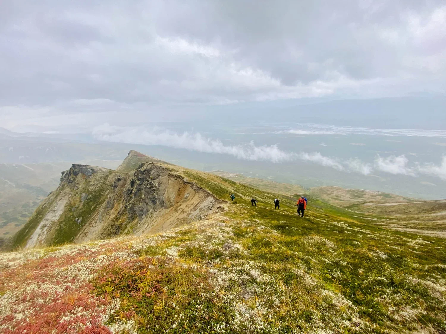 Indigo Alpine Guides - real hike for fitness