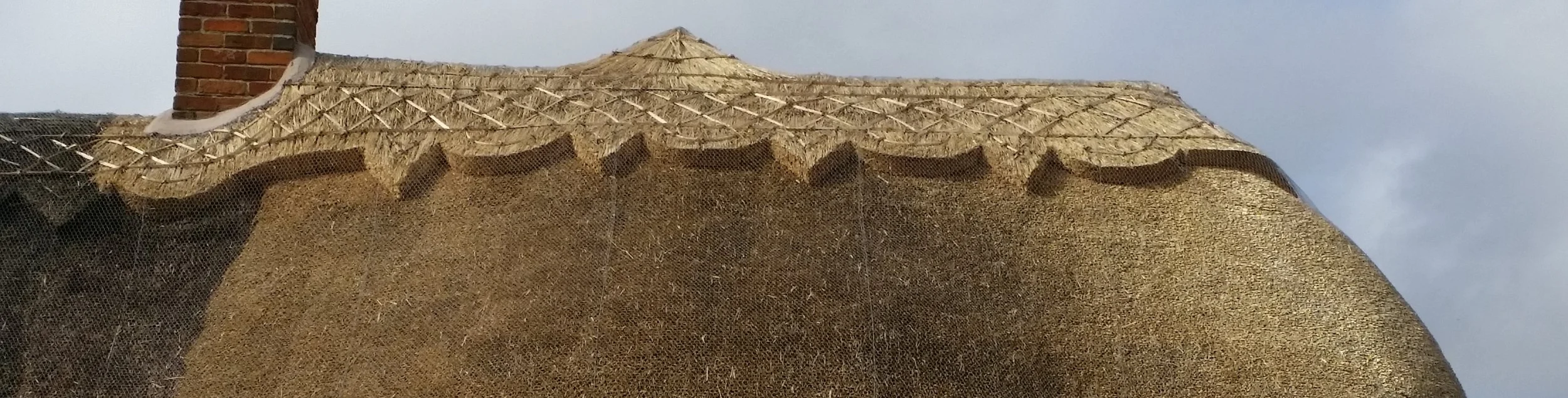 20150306_115954.jpg