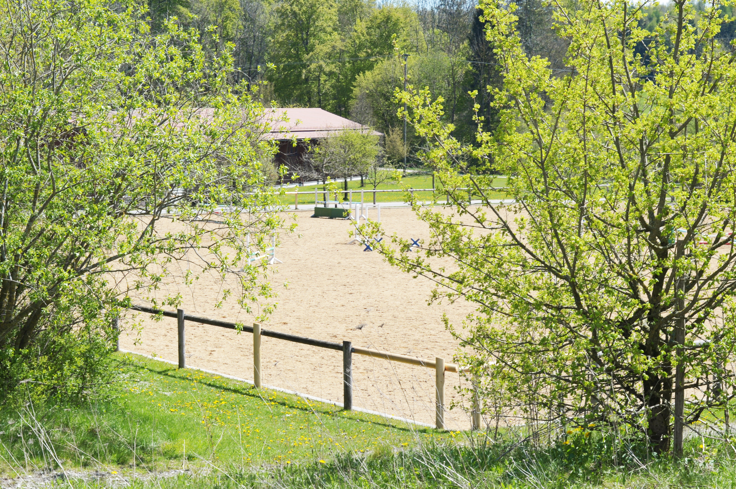 Springplatz Gut Kerschlach