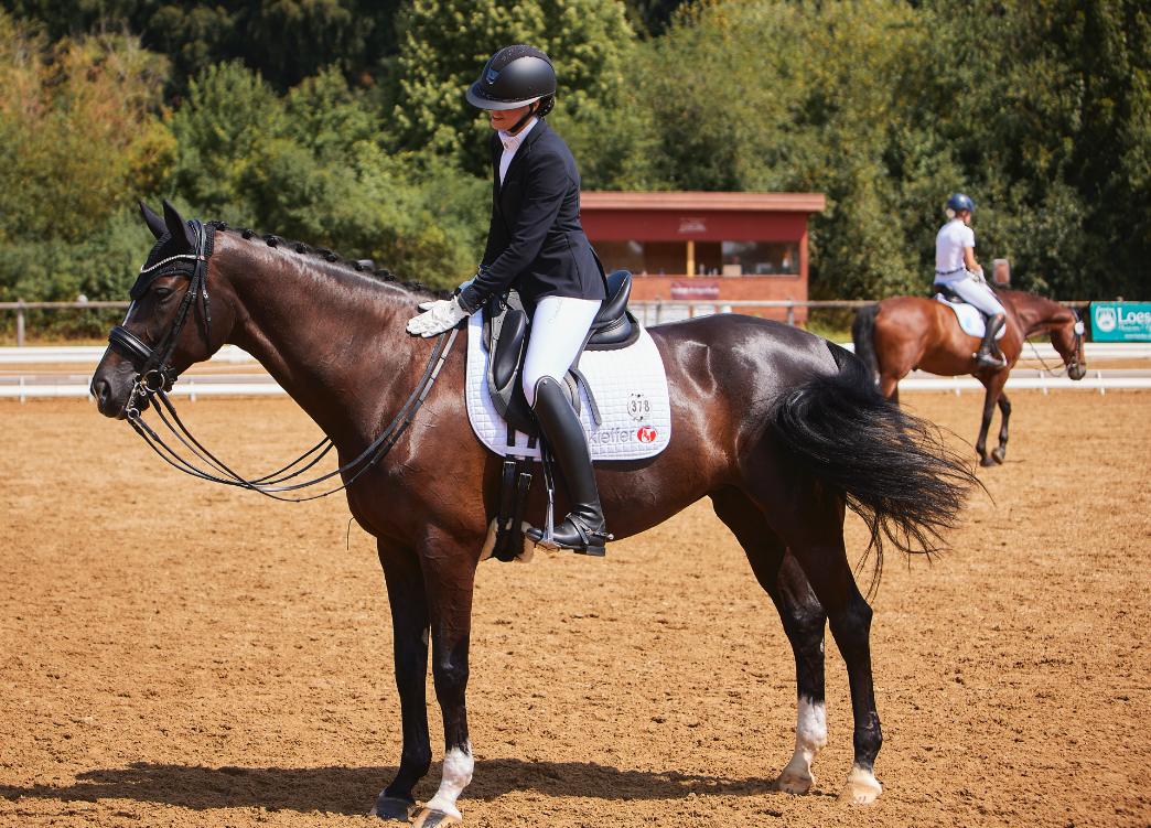 Bildschirmfoto 2026-03-06 um 13.07.20.png