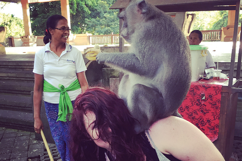 The Monkey Life