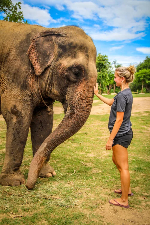 elephant-kanchanaburi.jpg